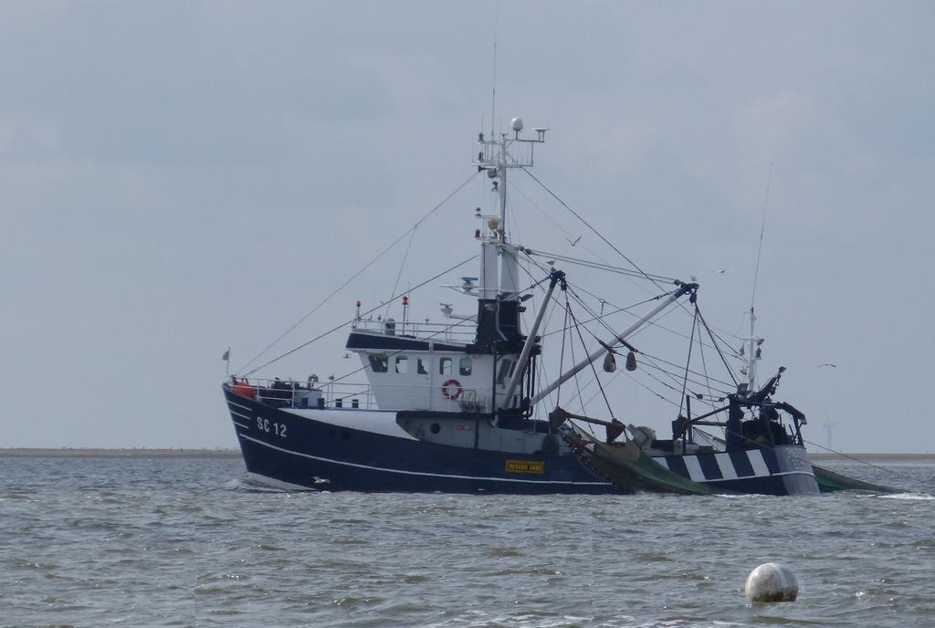 Fewo-Nordseestrand Leilighet Büsum Eksteriør bilde